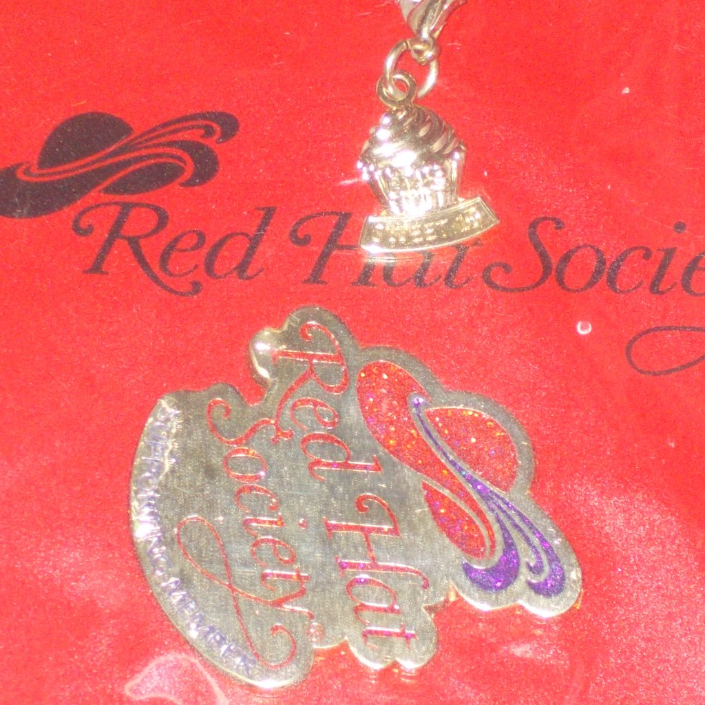 New In Package Red Hat Society Pin & Charm
